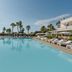 Canne Bianche Lifestyle Hotel, Torre Canne: outdoor pool with loungers, palms and clear blue sky