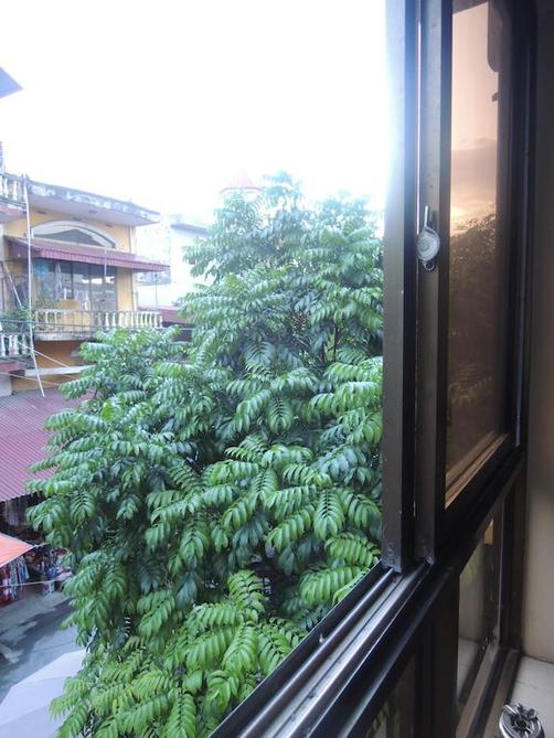 Thu Guest House - Ninh Bình