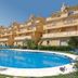Apartamentos Vista Real in La Línea de la Concepción with a large outdoor pool and apartment balconies