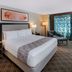 Cannery Casino Hotel in North Las Vegas guest room with king bed, sitting area and large window