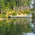 Hiroshima Ekimae Green Hotel in Hiroshima near a tranquil garden pond with arched stone bridge
