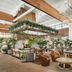 The Scott Resort & Spa Scottsdale lounge with fireplace, leather chairs, and lush indoor greenery