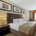 Best Western Plus St. Albert guest room with king bed, desk, armchair and window drapes in Saint Albert