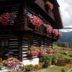 Outdoors view