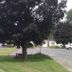 Outdoors view