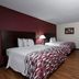 Red Roof Inn Warrenton room with two double beds, wood flooring, TV and dresser in Warrenton.