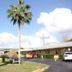 Prince of Wales Motel in Lake Wales with palm trees, parking lot, and low-rise motel exterior