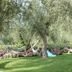 Outdoors view