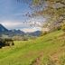Landhotel Binderhäusl Garni in Inzell with alpine meadow, mountain valley and tree-lined hillside view