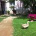 Agriturismo Cascina Madonnina in Arluno garden with a duck on the lawn and pink flowers