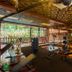 Royal Phawadee Village Patong gym with weight benches and free weights in a tropical open-air space