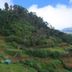 Ashley Resort in Nuwara Eliya overlooking terraced hillsides and a small waterfall