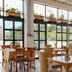 Hotel San Pedro del Fuerte in Medellín dining area with large windows and potted plants