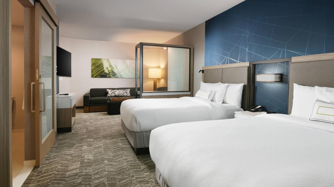 Springhill Suites By Marriott Dallas Dfw Airport South/Centreport