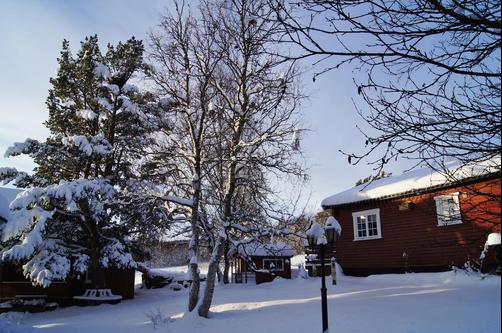 Bustad Hyttetun - Skåbu