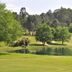 Axis Ponte de Lima Golf Resort Hotel in Ponte de Lima with a scenic golf course and pond