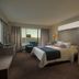 Palace Casino Resort Biloxi guest room with king bed, desk, chair, and ocean view through large windows