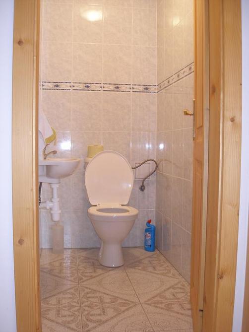 Apartmány Arnika - Horní Planá - Bathroom