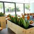 Centre Esplai Albergue dining room with large windows, tables, orange chairs and planter boxes in El Prat de Llobregat