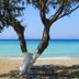 Esmeralda Hotel in Kremastí with a tree-lined beach and turquoise sea view