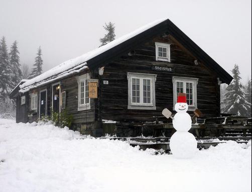 Skei Apartments - Svingvoll