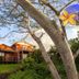 Keuhenua Hostal in Hanga Roa with wooden cabins, tropical garden, and large trees