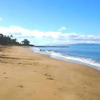 Kihei Bay Vista #D-208 Across from the Whale Sanctuary, Steps from the beach