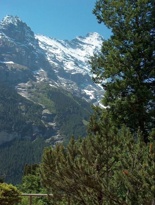 Chalet Hohturnen - Grindelwald