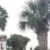 Prince of Wales Motel in Lake Wales sign with palm trees against a cloudy sky