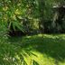 Wald-Hotel in Troisdorf garden with lush green trees and sunlit lawn