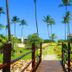 Ilheus North Hotel in Itacaré: wooden bridge path through tropical garden with palm trees and blue sky