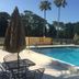 Econo Lodge Ormond Beach North - Daytona pool with lounge chairs and palm trees in Ormond Beach