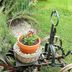 Hotel Finca Alcamino in Mompía garden with a decorative rustic cart planter and flowers