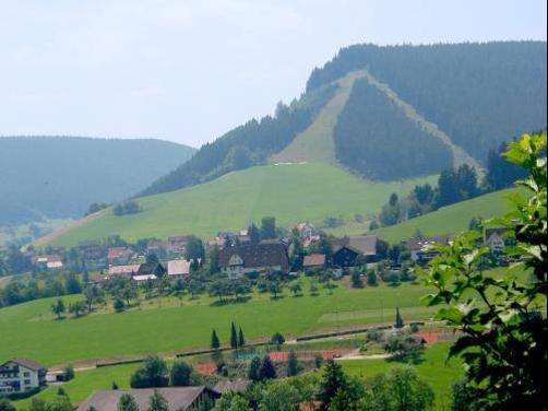 Hotel Restaurant Falken - Baiersbronn