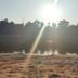 Zur Fichtenbreite in Klieken: sunny riverbank with trees reflecting on calm water