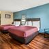 Econo Lodge Charlotte Airport Area guest room with two beds, desk, and blue accent wall in Charlotte