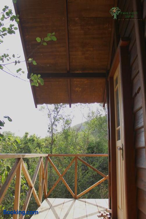 The Thick Forest - Sigiriya