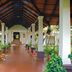 Gateway Chikmagalur in Chikamagalur, covered resort walkway with potted plants and white pillars
