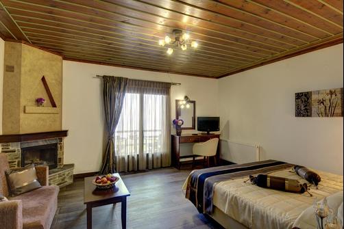 Hotel Zagora - Zagorá
