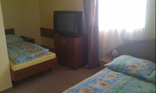 Hotel Pod Dębami - Pabianice