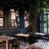 Hotel Abdij Dokkum in Dokkum, dark-paneled restaurant with portrait wall and tree centerpiece