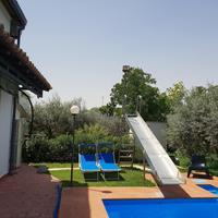 Apartment among the olive trees in a quiet area with private pool
