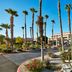 DoubleTree by Hilton Golf Resort Palm Springs in Cathedral City, palm-lined desert landscaping and driveway
