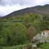 Alesga Rural in San Martín de Teverga with mountain views and a countryside house surrounded by trees