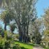 Outdoors view