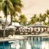 Paradise Cove Boutique Hotel in Cap Malheureux with a palm-lined pool and loungers by the water