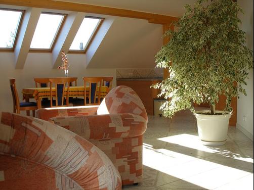 Apartmány Arnika - Horní Planá - Living room