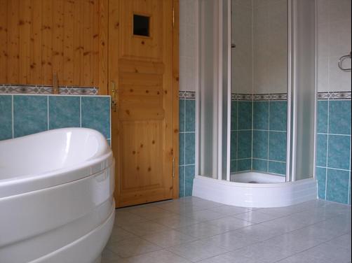 Apartmány Arnika - Horní Planá - Bathroom