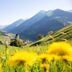 Hotel Bad Fallenbach in San Leonardo in Passiria with alpine valley and mountain views
