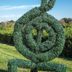 Club Wyndham Nashville hedge sculpture on a manicured lawn with trees and blue sky